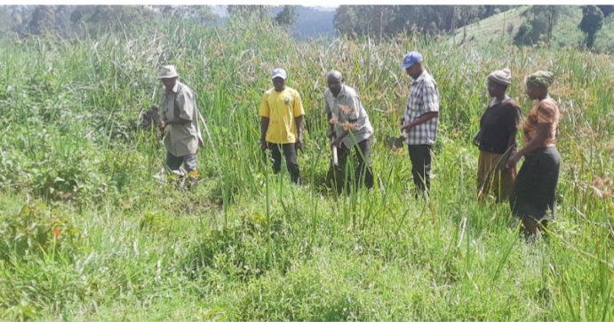 Wetland Conservation